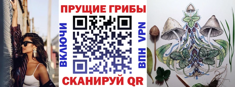 Псилоцибиновые грибы мухоморы Мещовск
