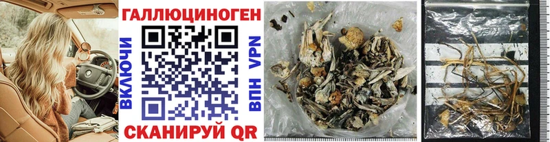 Галлюциногенные грибы GOLDEN TEACHER  Мещовск 